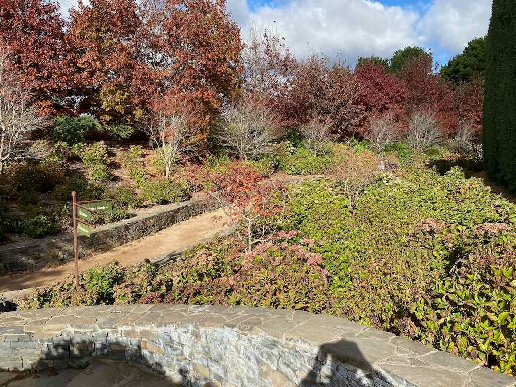 May 2023 Bathurst Mayfield Garden Tour Image -64605b18b3e2f